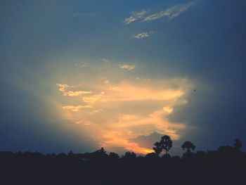 Low angle view of silhouette trees against sky during sunset