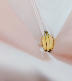 Close-up of yellow fruit on white wall