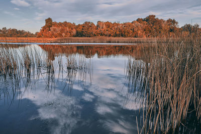 Scenic view of lake against sky