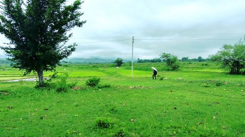 Man on grassy field against sky