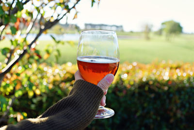 Close-up of hand holding beer glass