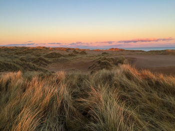 Scenic view of landscape at sunset