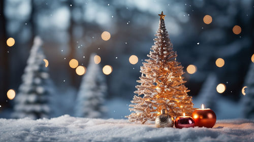 Close-up of christmas decorations on snow