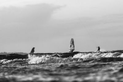 Sailboats sailing in sea against sky