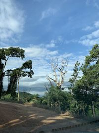 Road amidst trees on field against sky