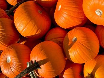 High angle view of pumpkins in market