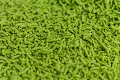 Detail of ground fresh green hops