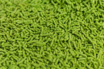 Full frame shot of plants growing on field