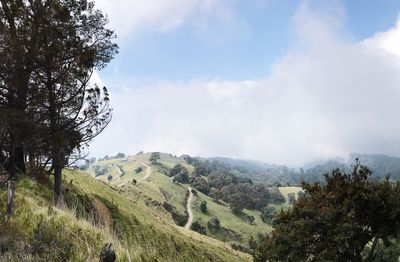 Low angle view of mountain against sky