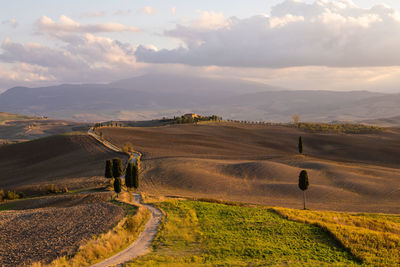 Scenic view of agricultural field against sky