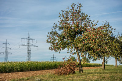 Trees on field against sky