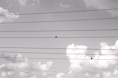 Low angle view of birds perching on cable against sky