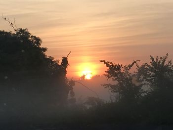 Silhouette trees against sky during sunset