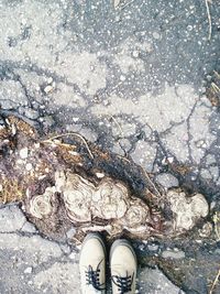 Low section of person standing on street