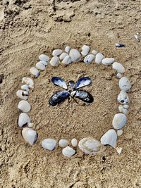 High angle view of shells on sand