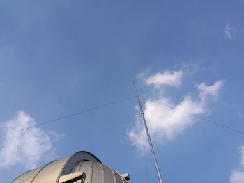 Low angle view of birds against blue sky