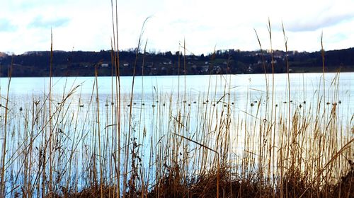 Scenic view of lake against sky