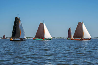 Traditional frisian wooden sailing ships in a yearly competition