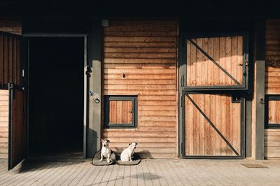 View of dog sitting on door