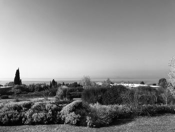 Panoramic shot of landscape against clear sky