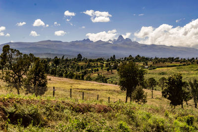 Scenic view of landscape against sky