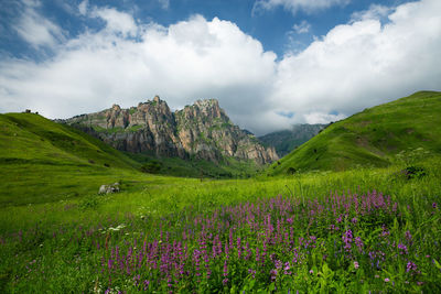 Mountains of