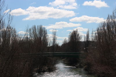 Bridge over river amidst trees in forest against sky