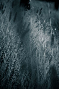 Close-up of white wall