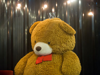 Close-up of stuffed toy
