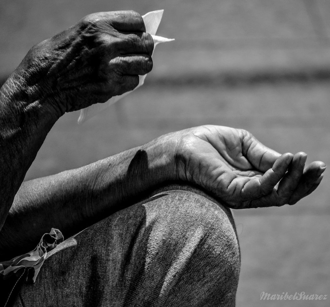 person, animal themes, animals in the wild, bird, one animal, part of, wildlife, focus on foreground, cropped, human finger, close-up, men, holding, unrecognizable person, day, lifestyles, outdoors