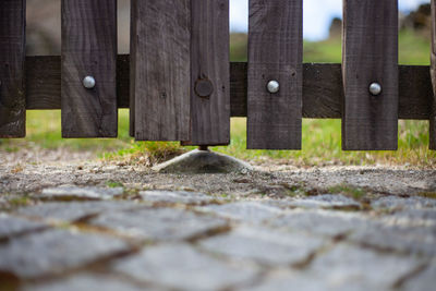 Surface level of footpath by fence