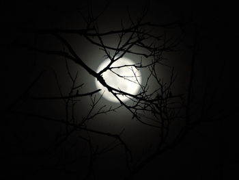 Low angle view of silhouette bare tree against sky