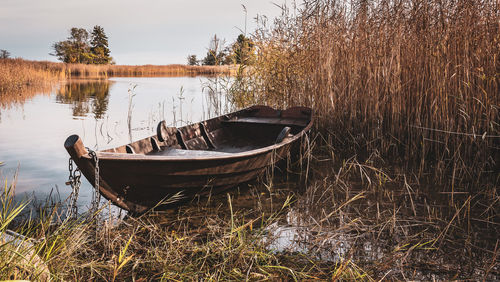 Old oak boat chained to reeds in the swedish archipelago during the autumn