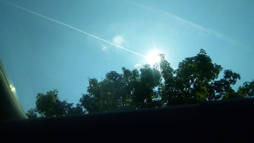 Low angle view of trees against clear sky