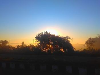 Silhouette trees against sky during sunset