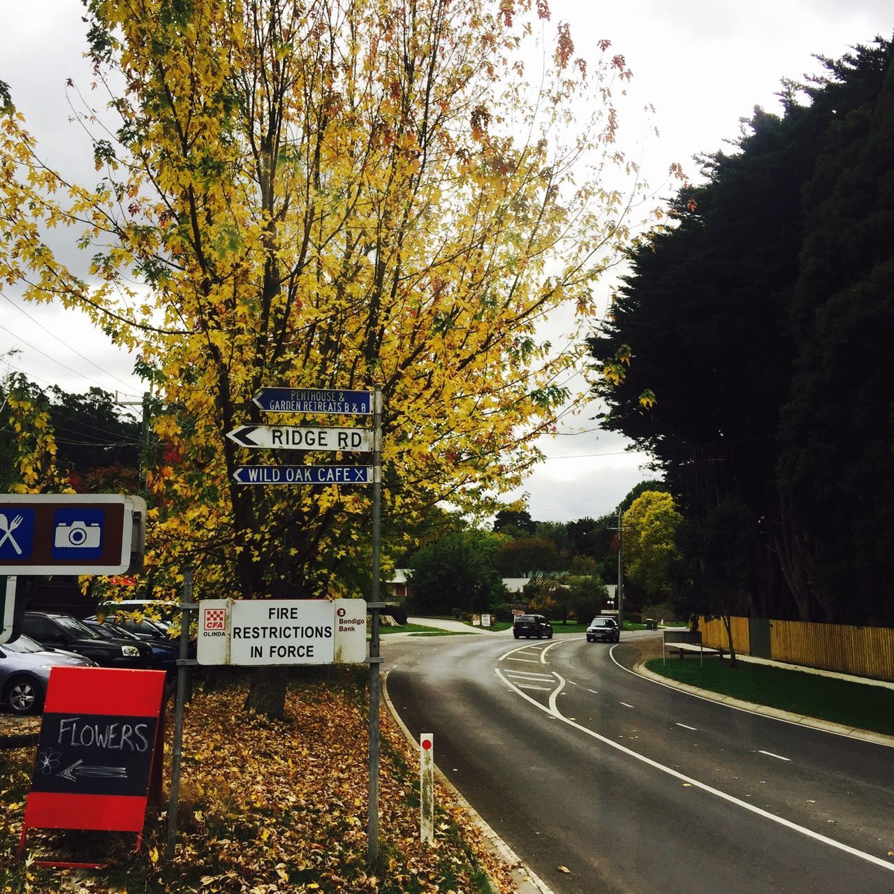 text, transportation, communication, western script, tree, road, car, information sign, land vehicle, non-western script, street, sign, guidance, mode of transport, road sign, capital letter, information, outdoors, road marking, sky