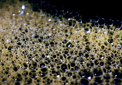 Full frame shot of bubbles