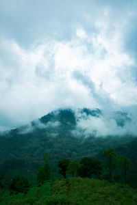 Scenic view of forest against sky