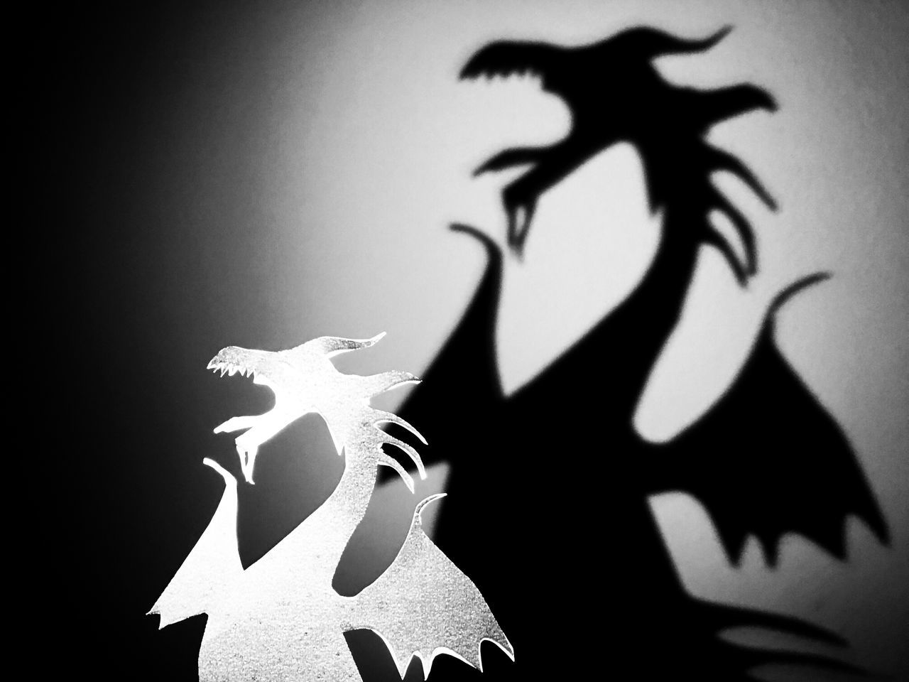 Dragon shadow