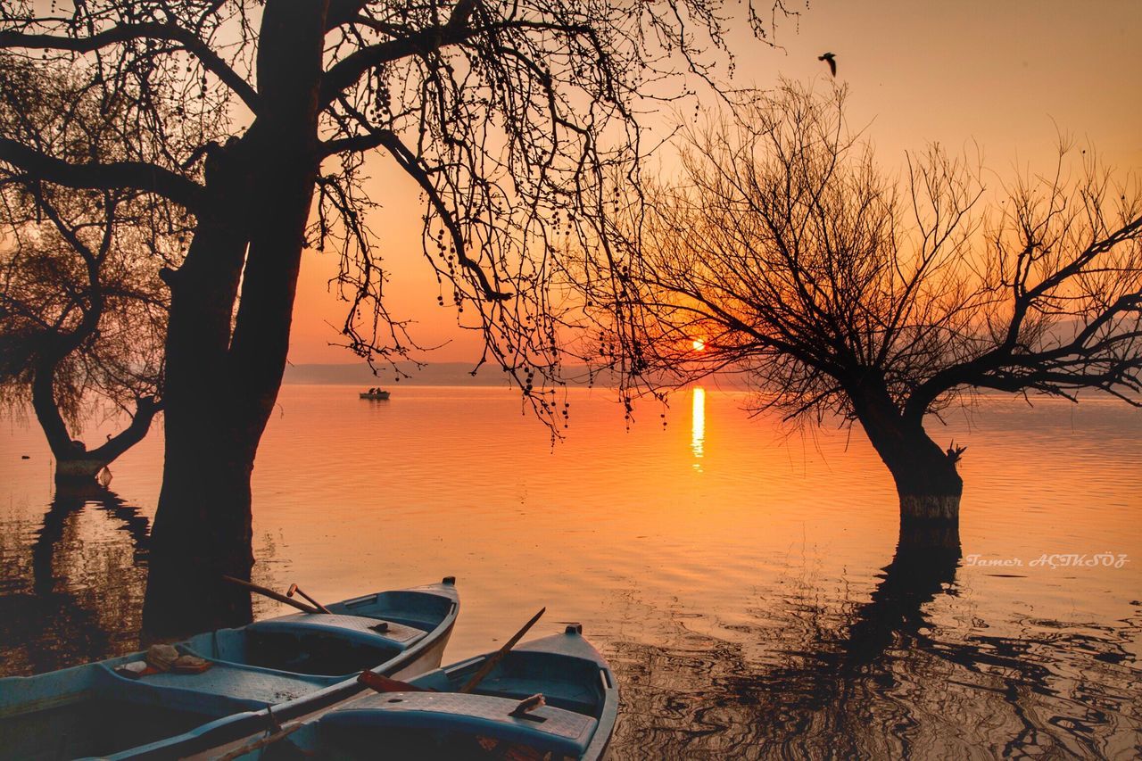 sunset, reflection, tree, nature, water, tranquility, outdoors, sunlight, lake, branch, no people, nautical vessel, kayak, sky, beauty in nature, sun, day