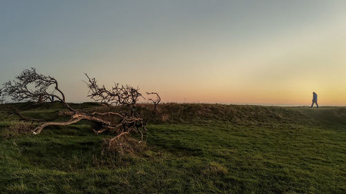 Scenic view of field against sky during sunset