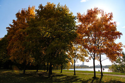 Trees on field against sky during autumn