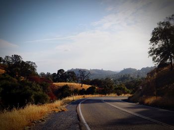 Road by trees against sky