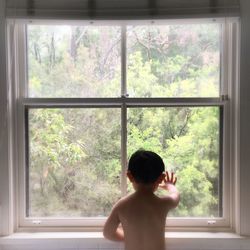 Trees seen through window