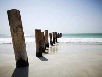 Wooden posts on beach against clear sky