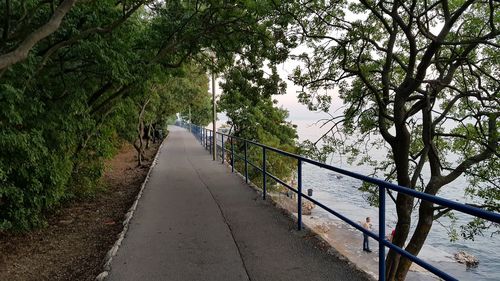 Empty road along trees