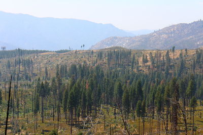 Scenic view of mountains