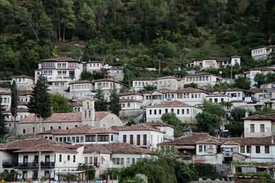 Buildings in town