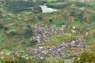 High angle view of trees and buildings