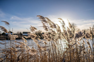 Scenic view of snow covered land against sky